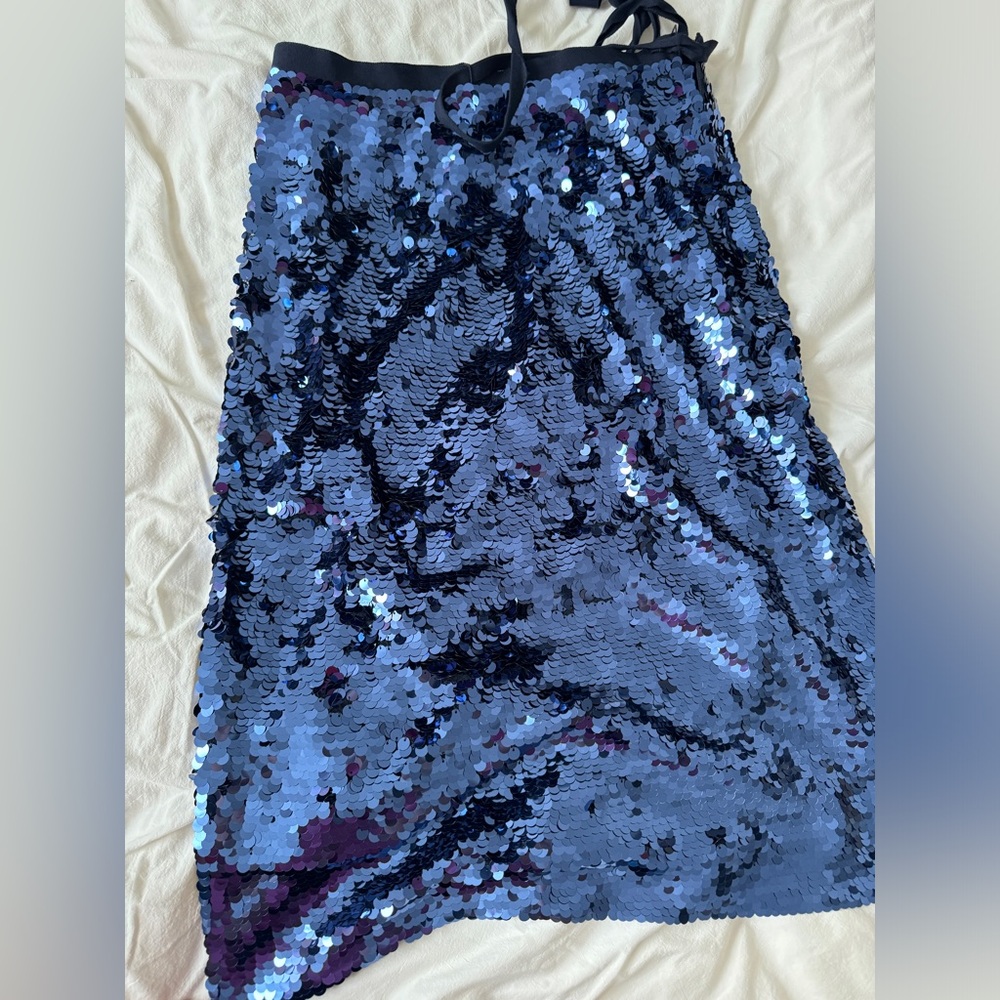 J. Crew Collection Midnight Sequin Skirt